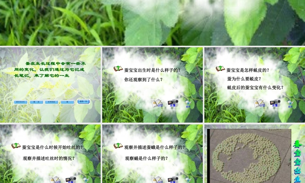 苏教小学科学四下《2.2．给蚕宝宝记日记》PPT课件(4)【加微信公众号 jiaoxuewuyou 九折优惠qq 1119139686】.ppt