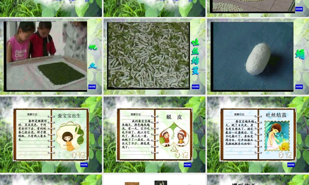 苏教小学科学四下《2.2．给蚕宝宝记日记》PPT课件(4)【加微信公众号 jiaoxuewuyou 九折优惠qq 1119139686】.ppt