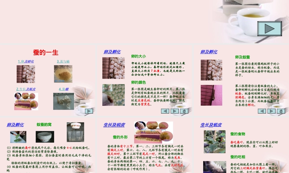 苏教小学科学四下《2.2．给蚕宝宝记日记》PPT课件(3)【加微信公众号 jiaoxuewuyou 九折优惠qq 1119139686】.ppt