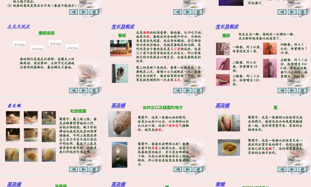 苏教小学科学四下《2.2．给蚕宝宝记日记》PPT课件(3)【加微信公众号 jiaoxuewuyou 九折优惠qq 1119139686】.ppt