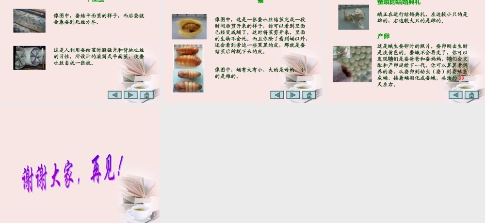 苏教小学科学四下《2.2．给蚕宝宝记日记》PPT课件(3)【加微信公众号 jiaoxuewuyou 九折优惠qq 1119139686】.ppt