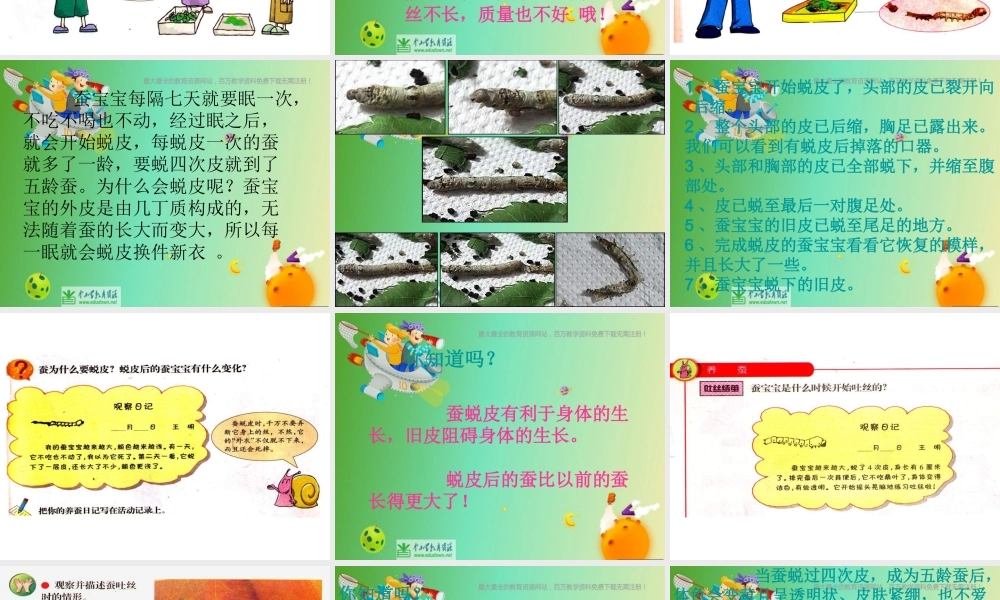 苏教小学科学四下《2.2．给蚕宝宝记日记》PPT课件(5)【加微信公众号 jiaoxuewuyou 九折优惠qq 1119139686】.ppt