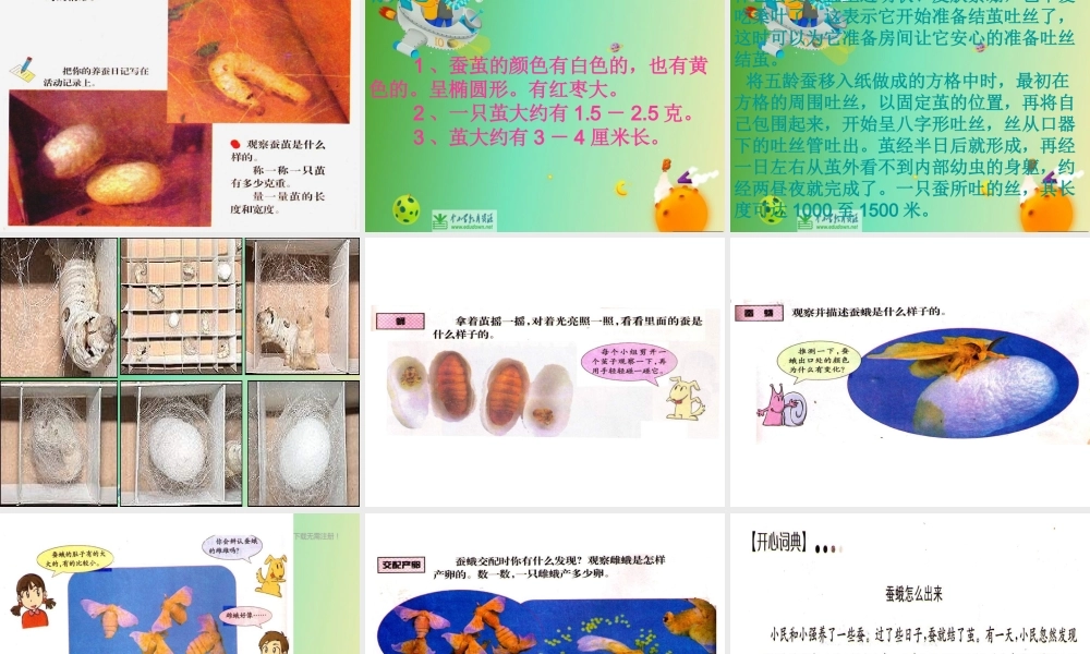 苏教小学科学四下《2.2．给蚕宝宝记日记》PPT课件(5)【加微信公众号 jiaoxuewuyou 九折优惠qq 1119139686】.ppt