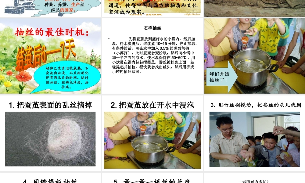 苏教小学科学四下《2.3．我们来抽丝》PPT课件(3)【加微信公众号 jiaoxuewuyou 九折优惠qq 1119139686】.ppt