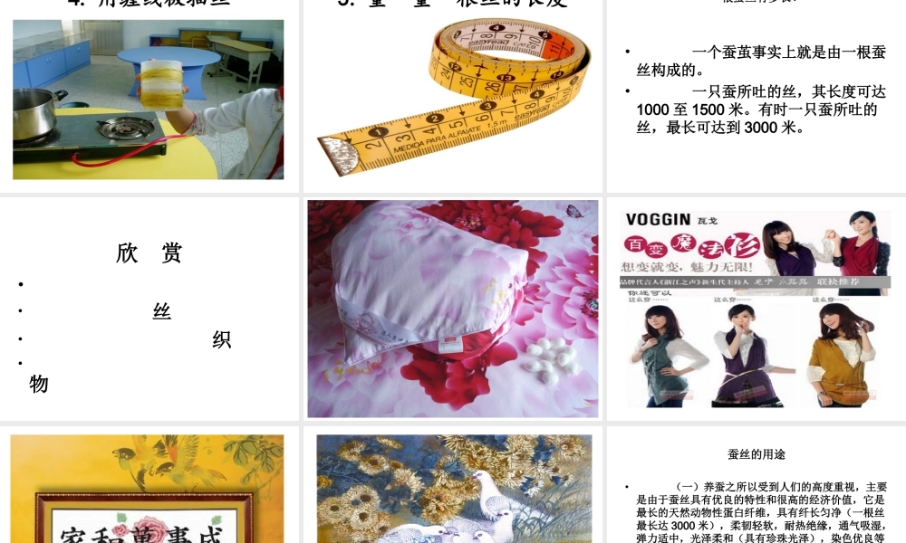 苏教小学科学四下《2.3．我们来抽丝》PPT课件(3)【加微信公众号 jiaoxuewuyou 九折优惠qq 1119139686】.ppt