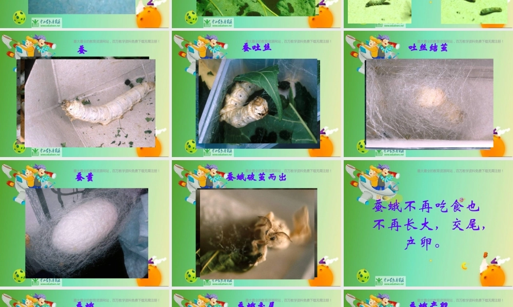 苏教小学科学四下《2.3．我们来抽丝》PPT课件(4)【加微信公众号 jiaoxuewuyou 九折优惠qq 1119139686】.ppt