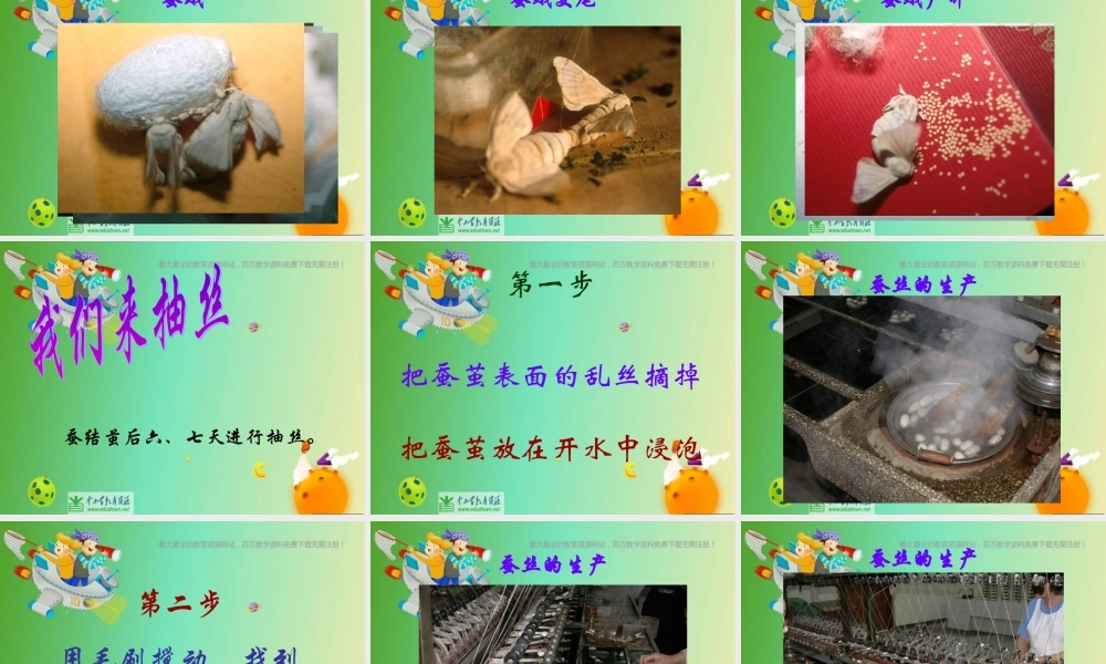 苏教小学科学四下《2.3．我们来抽丝》PPT课件(4)【加微信公众号 jiaoxuewuyou 九折优惠qq 1119139686】.ppt