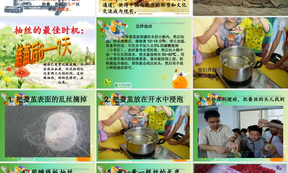 苏教小学科学四下《2.3．我们来抽丝》PPT课件(2)【加微信公众号 jiaoxuewuyou 九折优惠qq 1119139686】.ppt