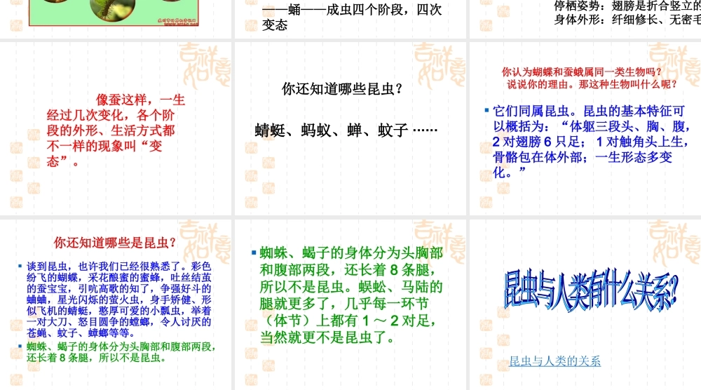 苏教小学科学四下《2.4．养蚕经验交流会》PPT课件(3)【加微信公众号 jiaoxuewuyou 九折优惠qq 1119139686】.ppt