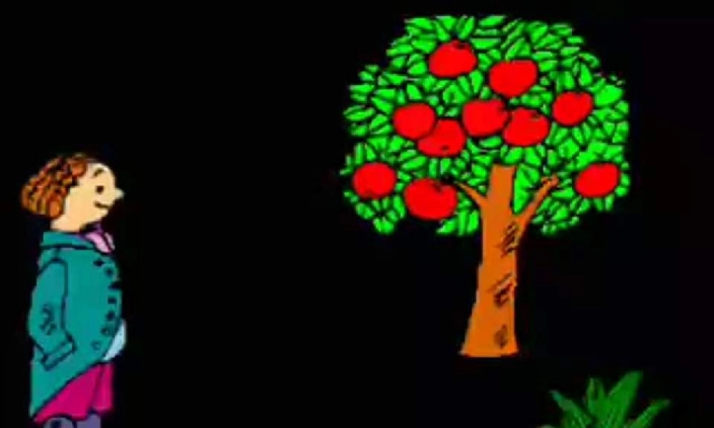 苏教小学科学四下《4.3．苹果为什么会落地》PPT课件(6)【加微信公众号 jiaoxuewuyou 九折优惠qq 1119139686】.ppt