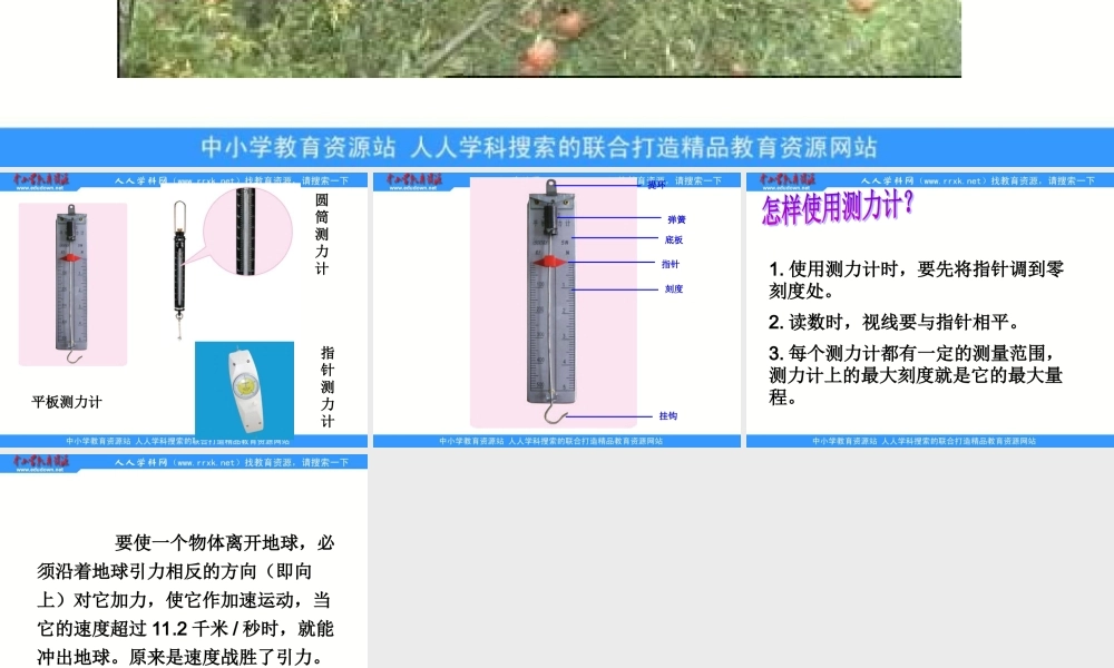 苏教小学科学四下《4.3．苹果为什么会落地》PPT课件(1)【加微信公众号 jiaoxuewuyou 九折优惠qq 1119139686】.ppt