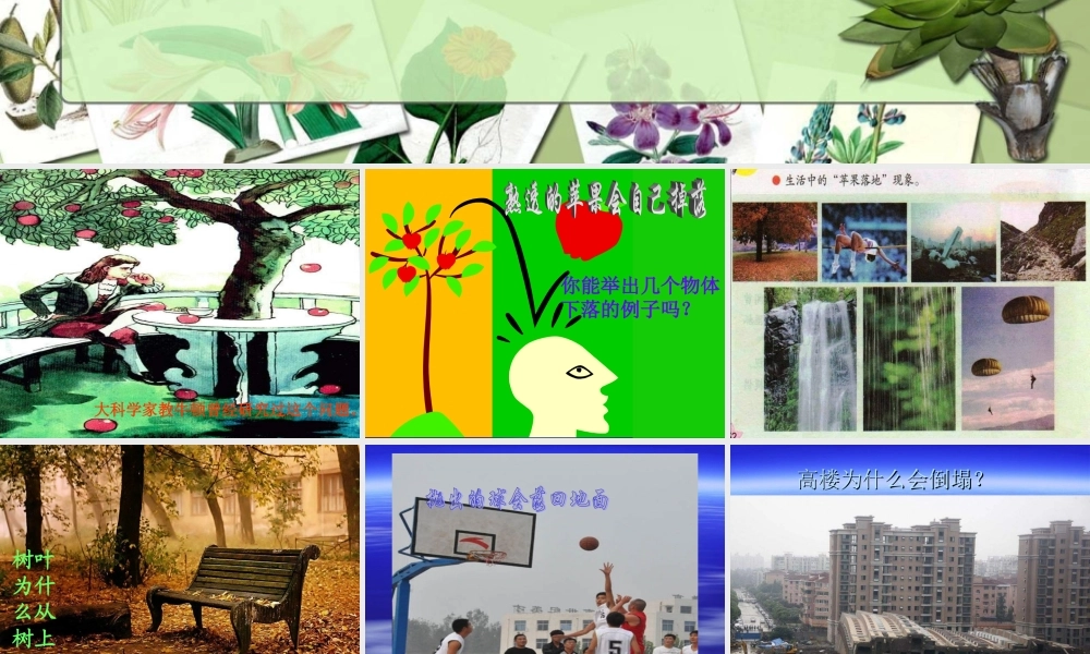 苏教小学科学四下《4.3．苹果为什么会落地》PPT课件(3)【加微信公众号 jiaoxuewuyou 九折优惠qq 1119139686】.ppt