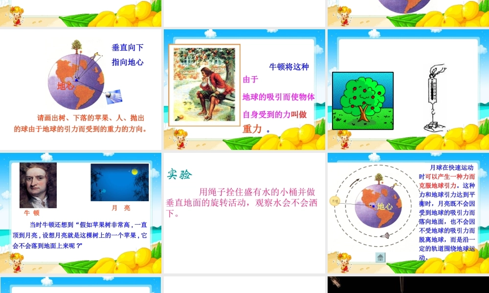 苏教小学科学四下《4.3．苹果为什么会落地》PPT课件(2)【加微信公众号 jiaoxuewuyou 九折优惠qq 1119139686】.ppt