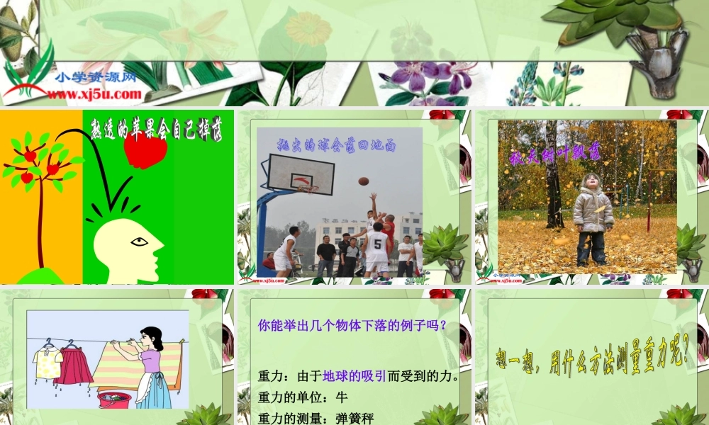 苏教小学科学四下《4.3．苹果为什么会落地》PPT课件(5)【加微信公众号 jiaoxuewuyou 九折优惠qq 1119139686】.ppt