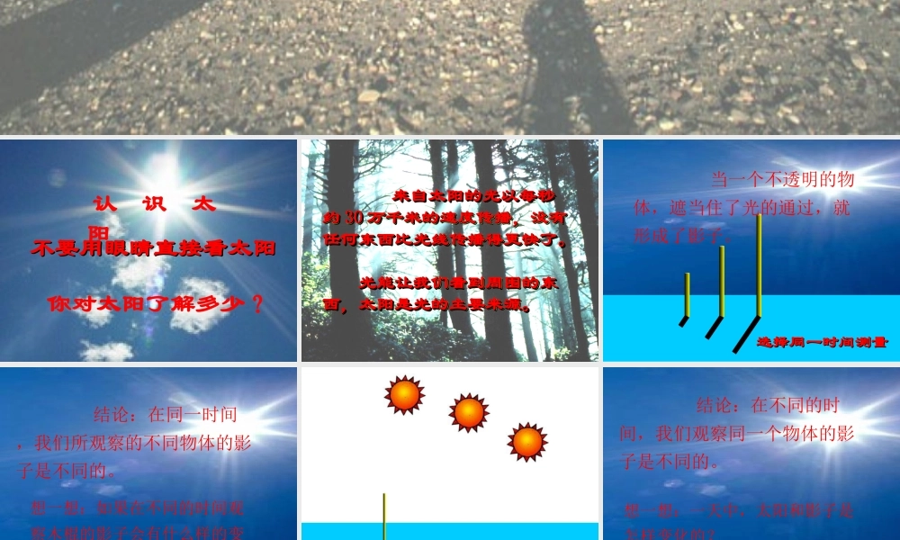 苏教小学科学五上《1.1．太阳和影子》PPT课件(8)【加微信公众号 jiaoxuewuyou 九折优惠qq 1119139686】.ppt