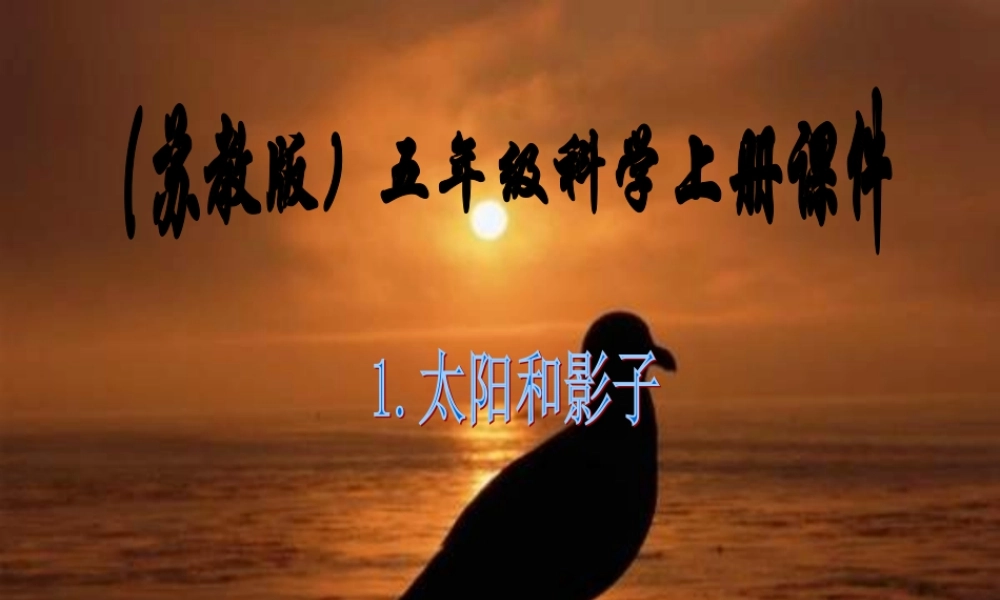 苏教小学科学五上《1.1．太阳和影子》PPT课件(2)【加微信公众号 jiaoxuewuyou 九折优惠qq 1119139686】.ppt