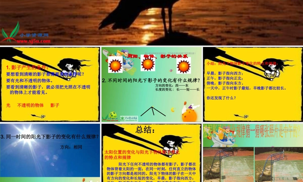 苏教小学科学五上《1.1．太阳和影子》PPT课件(2)【加微信公众号 jiaoxuewuyou 九折优惠qq 1119139686】.ppt