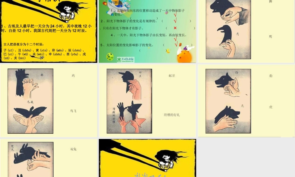 苏教小学科学五上《1.1．太阳和影子》PPT课件(2)【加微信公众号 jiaoxuewuyou 九折优惠qq 1119139686】.ppt