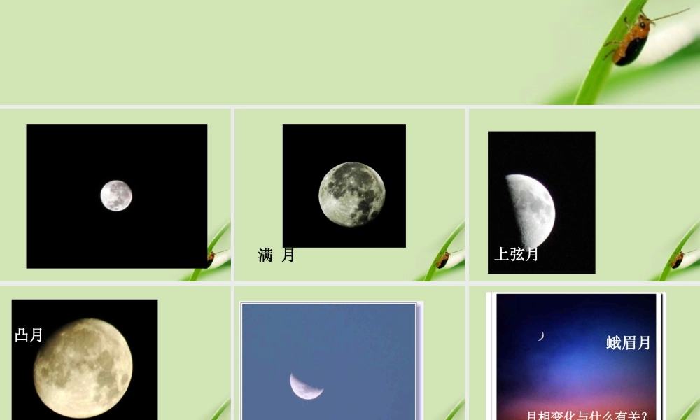 苏教小学科学五上《1.4.看月亮》PPT课件 (3)【加微信公众号 jiaoxuewuyou 九折优惠qq 1119139686】.ppt