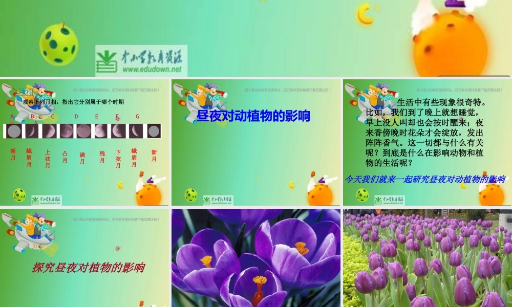 苏教小学科学五上《1.5.昼夜对动植物的影响》PPT课件 (5)【加微信公众号 jiaoxuewuyou 九折优惠qq 1119139686】.ppt