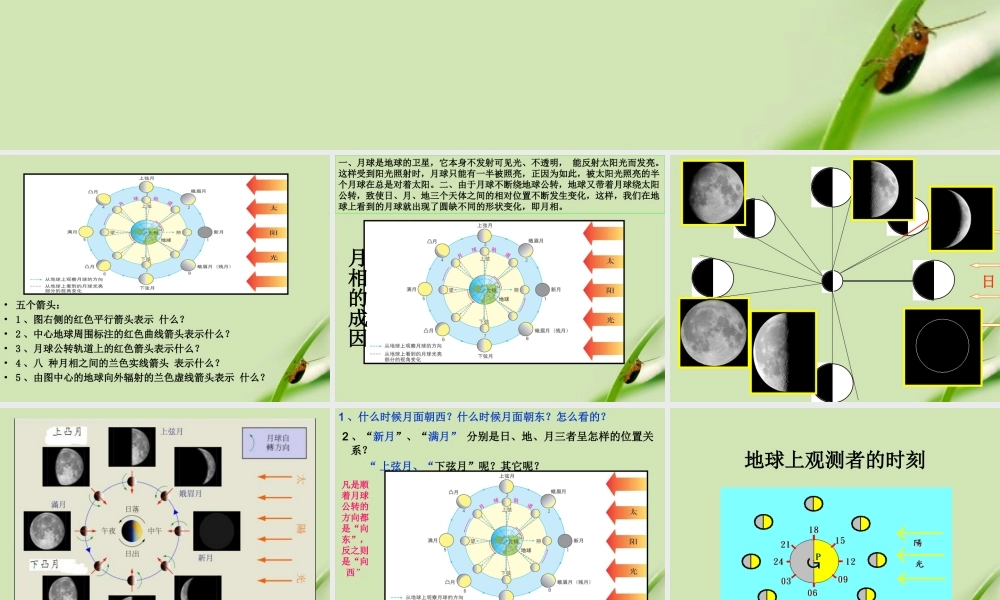 苏教小学科学五上《1.4.看月亮》PPT课件 (2)【加微信公众号 jiaoxuewuyou 九折优惠qq 1119139686】.ppt