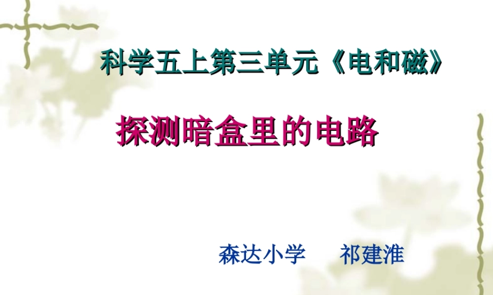 苏教小学科学五上《3.3．探测暗盒里的电路》PPT课件(3)【加微信公众号 jiaoxuewuyou 九折优惠qq 1119139686】.ppt
