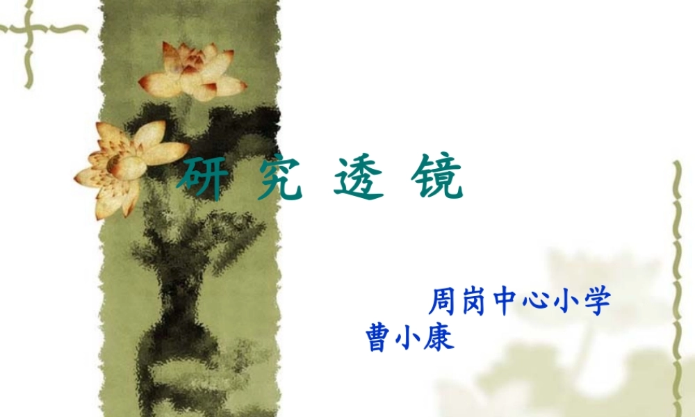 苏教小学科学五上《3.4．研究磁铁》PPT课件(8)【加微信公众号 jiaoxuewuyou 九折优惠qq 1119139686】.ppt