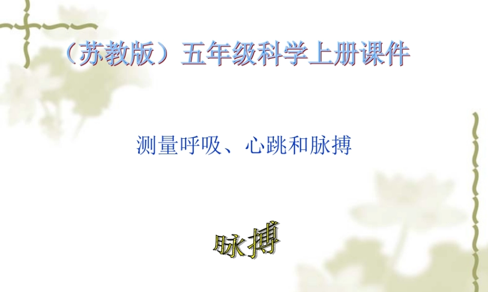 苏教小学科学五上《4.1．测量呼吸和心跳》PPT课件(2)【加微信公众号 jiaoxuewuyou 九折优惠qq 1119139686】.ppt