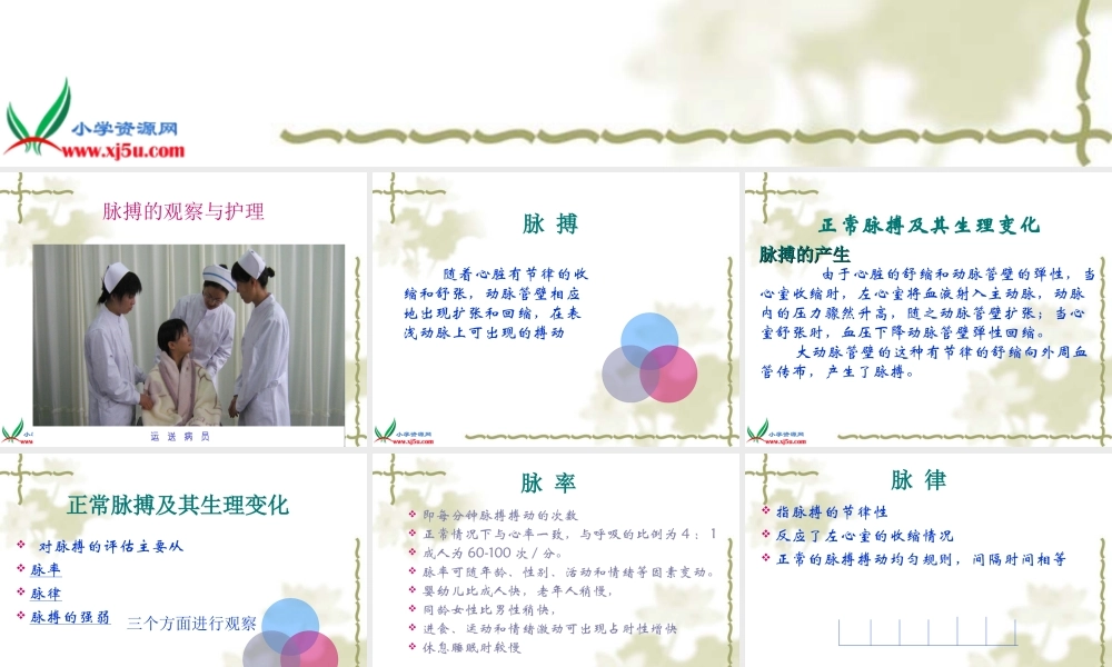 苏教小学科学五上《4.1．测量呼吸和心跳》PPT课件(2)【加微信公众号 jiaoxuewuyou 九折优惠qq 1119139686】.ppt