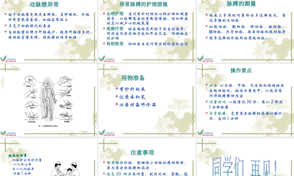 苏教小学科学五上《4.1．测量呼吸和心跳》PPT课件(2)【加微信公众号 jiaoxuewuyou 九折优惠qq 1119139686】.ppt