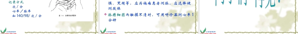 苏教小学科学五上《4.1．测量呼吸和心跳》PPT课件(2)【加微信公众号 jiaoxuewuyou 九折优惠qq 1119139686】.ppt