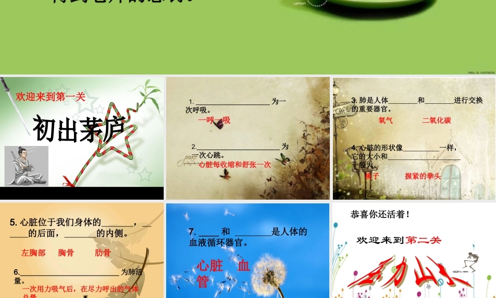 苏教小学科学五上《4.3．心脏和血液循环》PPT课件(3)【加微信公众号 jiaoxuewuyou 九折优惠qq 1119139686】.ppt