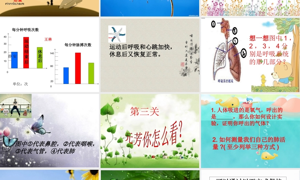 苏教小学科学五上《4.3．心脏和血液循环》PPT课件(3)【加微信公众号 jiaoxuewuyou 九折优惠qq 1119139686】.ppt