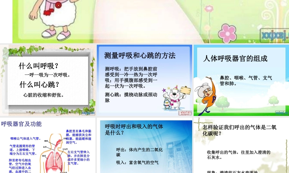 苏教小学科学五上《4.3．心脏和血液循环》PPT课件(1)【加微信公众号 jiaoxuewuyou 九折优惠qq 1119139686】.ppt