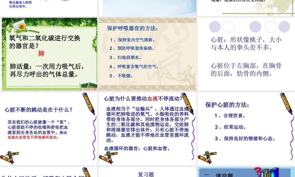 苏教小学科学五上《4.3．心脏和血液循环》PPT课件(1)【加微信公众号 jiaoxuewuyou 九折优惠qq 1119139686】.ppt