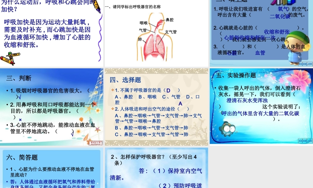 苏教小学科学五上《4.3．心脏和血液循环》PPT课件(1)【加微信公众号 jiaoxuewuyou 九折优惠qq 1119139686】.ppt