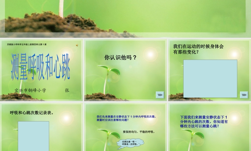 苏教小学科学五上《4.1．测量呼吸和心跳》PPT课件(8)【加微信公众号 jiaoxuewuyou 九折优惠qq 1119139686】.ppt