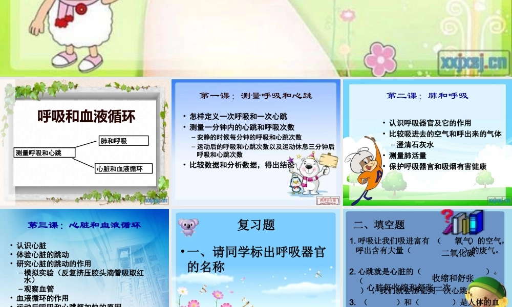 苏教小学科学五上《4.3．心脏和血液循环》PPT课件(2)【加微信公众号 jiaoxuewuyou 九折优惠qq 1119139686】.ppt