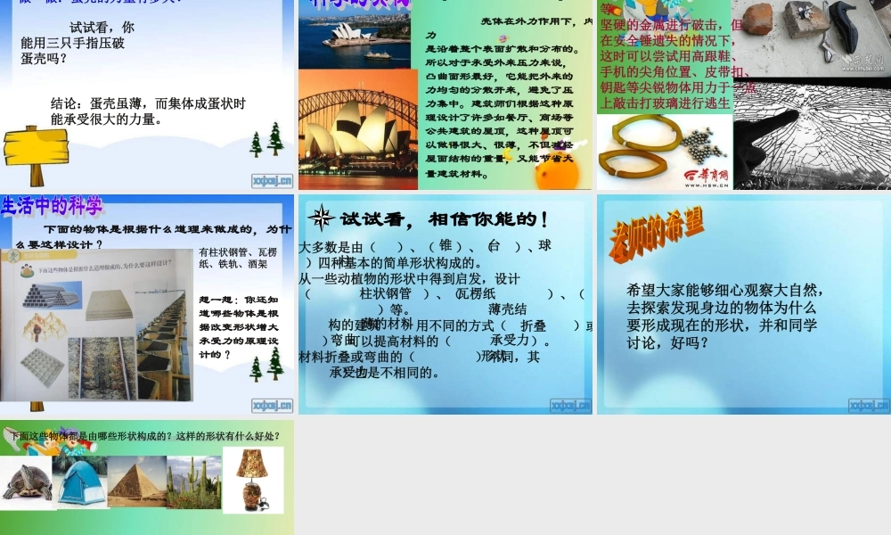 苏教小学科学五下《2.1．折形状》PPT课件(4)【加微信公众号 jiaoxuewuyou 九折优惠qq 1119139686】.ppt