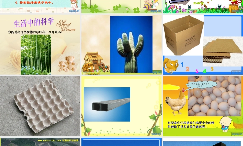 苏教小学科学五下《2.1．折形状》PPT课件(2)【加微信公众号 jiaoxuewuyou 九折优惠qq 1119139686】.ppt