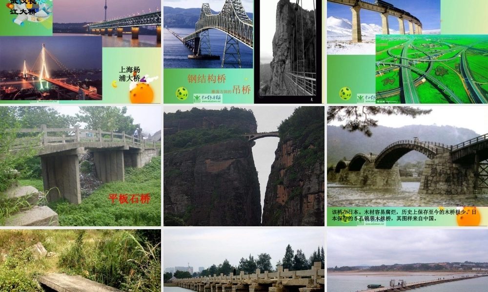 苏教小学科学五下《2.3．建桥梁》PPT课件(4)【加微信公众号 jiaoxuewuyou 九折优惠qq 1119139686】.ppt