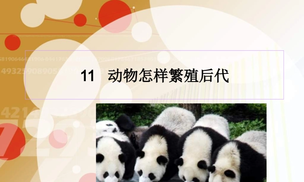 苏教小学科学五下《3.2．动物怎样繁殖后代》PPT课件(8)【加微信公众号 jiaoxuewuyou 九折优惠qq 1119139686】.ppt