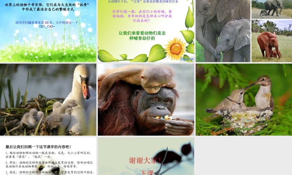 苏教小学科学五下《3.2．动物怎样繁殖后代》PPT课件(3)【加微信公众号 jiaoxuewuyou 九折优惠qq 1119139686】.ppt