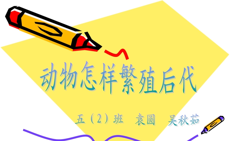 苏教小学科学五下《3.2．动物怎样繁殖后代》PPT课件(6)【加微信公众号 jiaoxuewuyou 九折优惠qq 1119139686】.ppt
