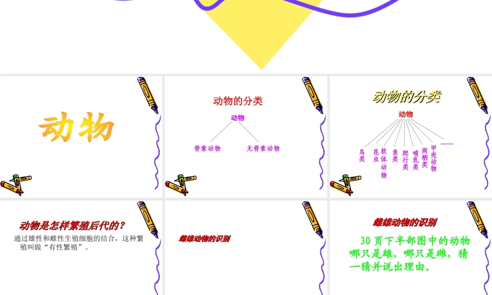 苏教小学科学五下《3.2．动物怎样繁殖后代》PPT课件(6)【加微信公众号 jiaoxuewuyou 九折优惠qq 1119139686】.ppt