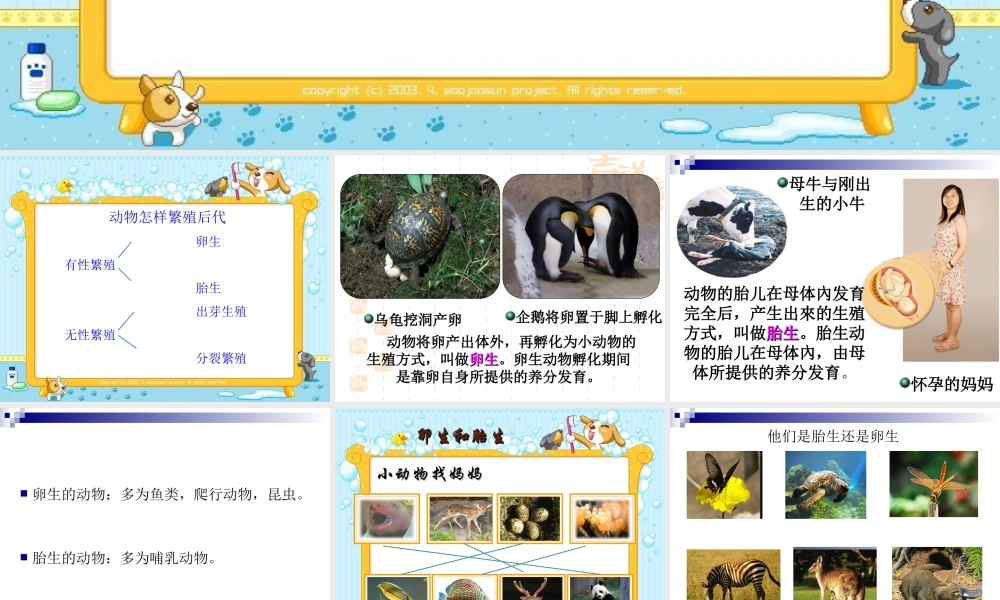 苏教小学科学五下《3.2．动物怎样繁殖后代》PPT课件(4)【加微信公众号 jiaoxuewuyou 九折优惠qq 1119139686】.ppt