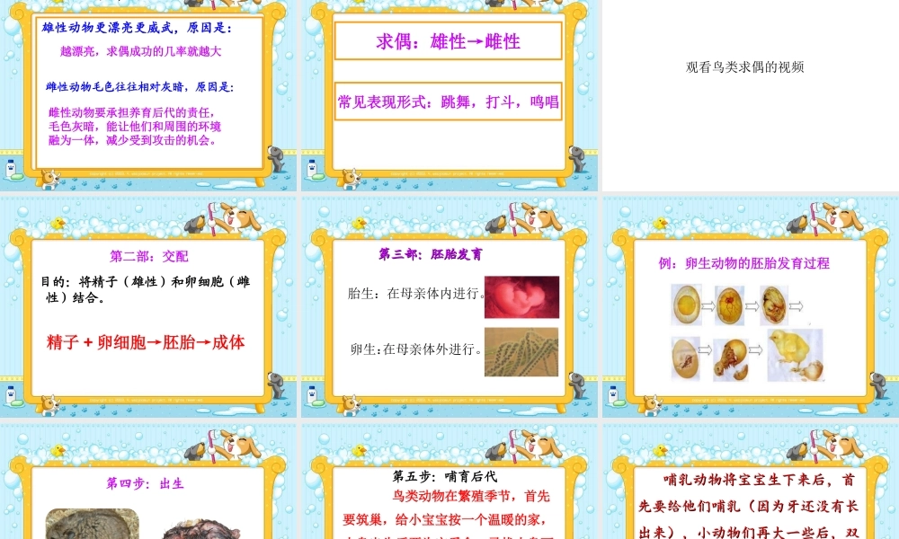 苏教小学科学五下《3.2．动物怎样繁殖后代》PPT课件(4)【加微信公众号 jiaoxuewuyou 九折优惠qq 1119139686】.ppt
