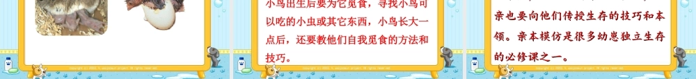 苏教小学科学五下《3.2．动物怎样繁殖后代》PPT课件(4)【加微信公众号 jiaoxuewuyou 九折优惠qq 1119139686】.ppt