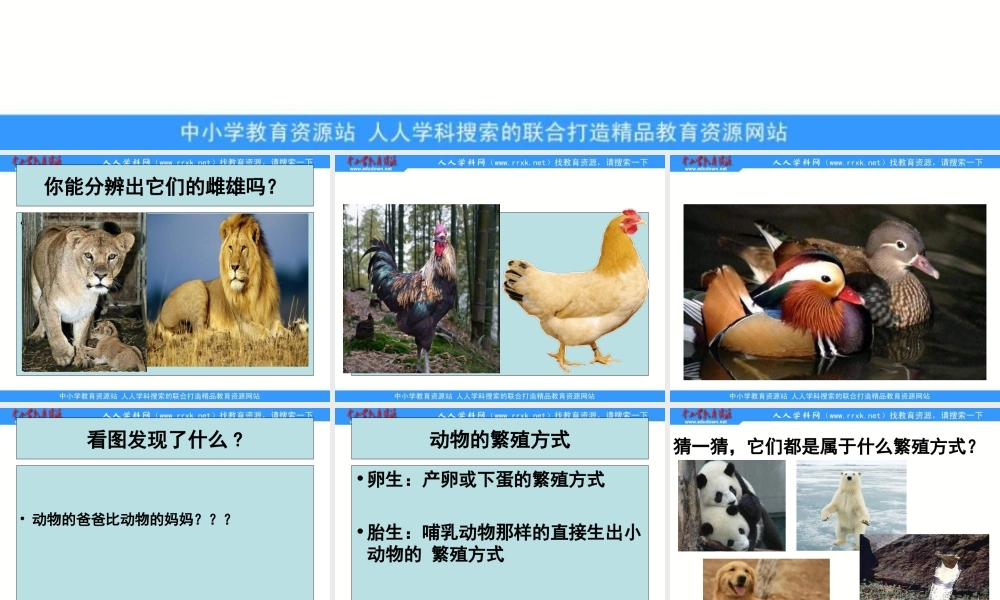 苏教小学科学五下《3.2．动物怎样繁殖后代》PPT课件(1)【加微信公众号 jiaoxuewuyou 九折优惠qq 1119139686】.ppt