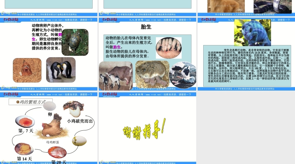 苏教小学科学五下《3.2．动物怎样繁殖后代》PPT课件(1)【加微信公众号 jiaoxuewuyou 九折优惠qq 1119139686】.ppt